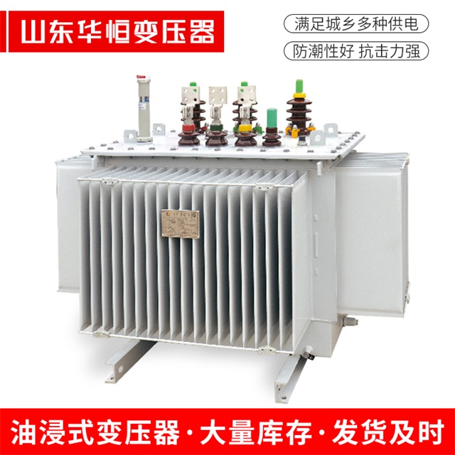 S13-10000/35波密波密波密电力变压器